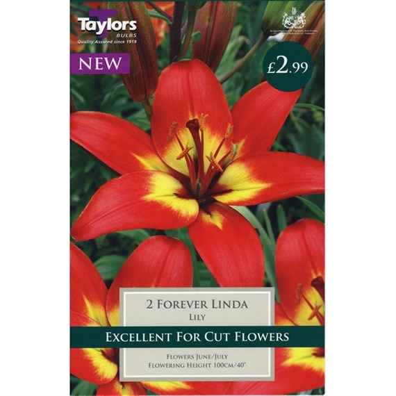 Taylors Bulbs Lily Forever Linda (2 Pack) (TS519)