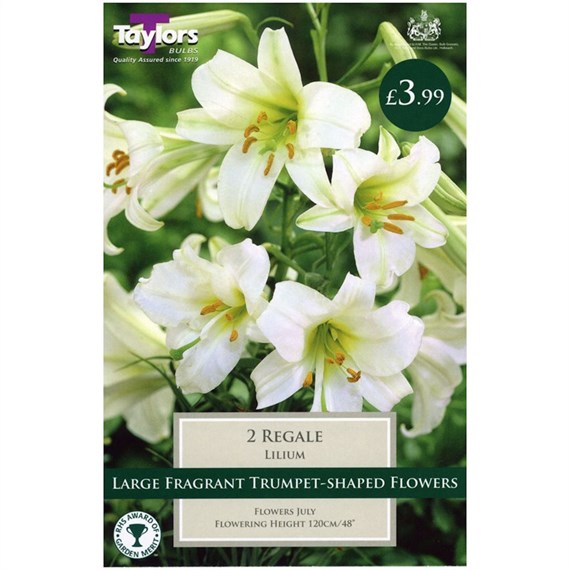 Taylors Bulbs Lily Regale (2 Pack) (TP874)
