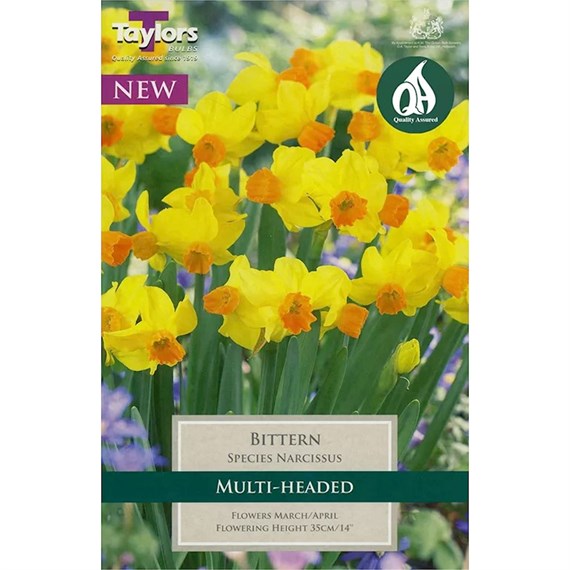 Taylors Bulbs Narcissus Bittern - Pack of 7 (TP204)