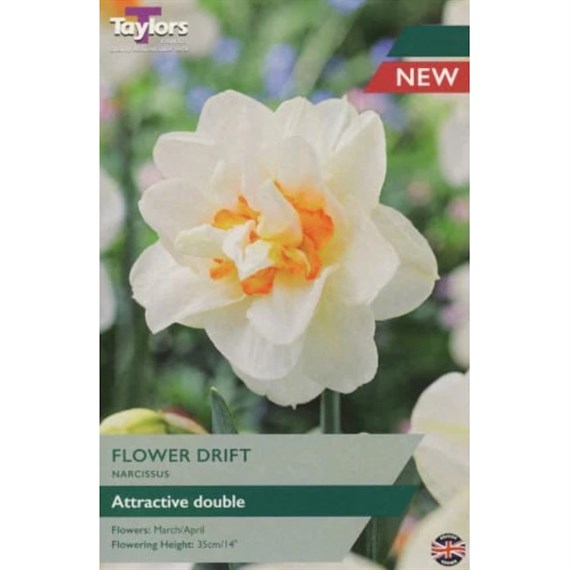 Taylors Bulbs Narcissus Flower Drift - Pack of 5 (TP141)