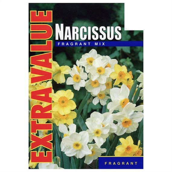 Taylors Bulbs Narcissi Fragrant Species Mixed - Pack of 25 - Extra Value Range (EV104)