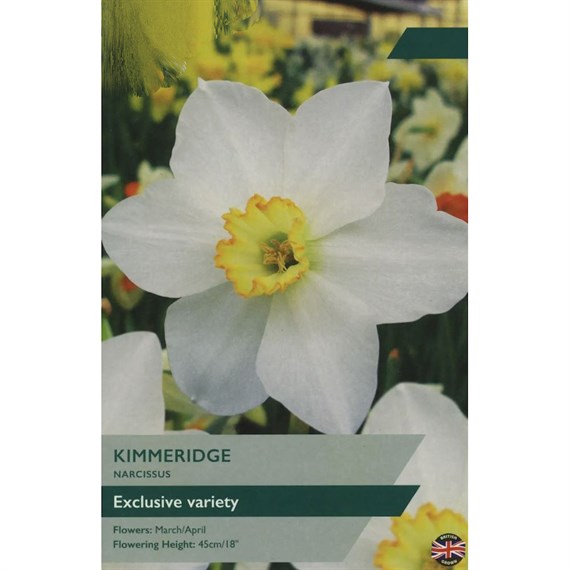 Taylors Bulbs Narcissus Kimmeridge - Pack of 7 (TP118)