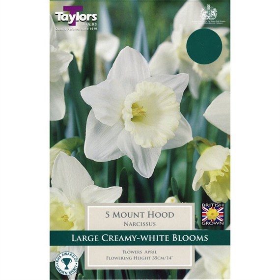 Taylors Bulbs Narcissi Mount Hood - Pack of 6 (TP113)