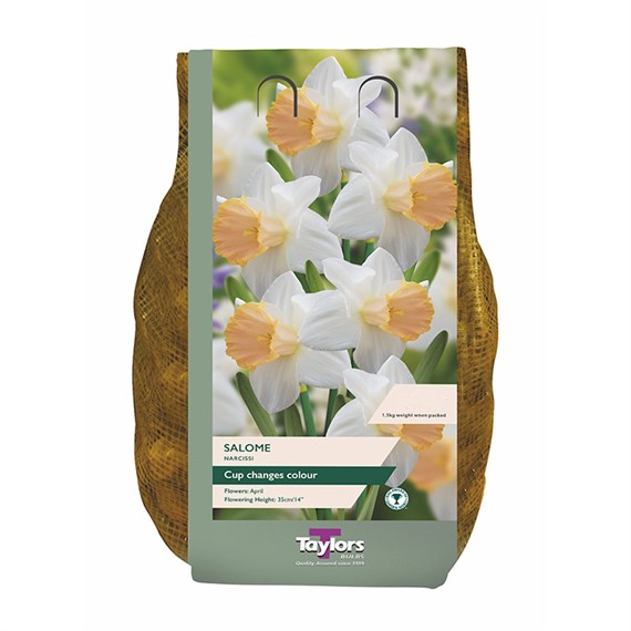 Taylors Bulbs Narcissus Salome Carry Pack - Pack of 1.5kg (DC74)