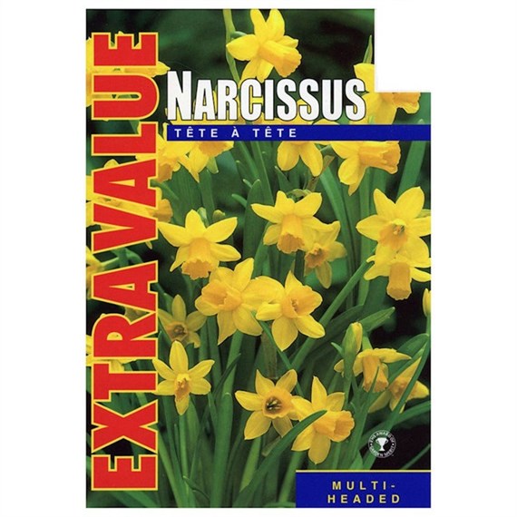Taylors Bulbs Narcissi Tete A Tete - Pack of 25 - Extra Value Range (EV103)