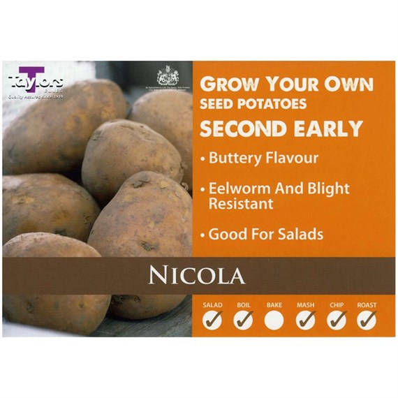 Taylors Bulbs Seed Potatoes Nicola (2kg Pack) (VAC460)