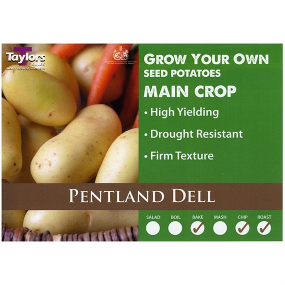 Taylors Bulbs Seed Potatoes Pentland Dell (2kg Pack) (VAC489)