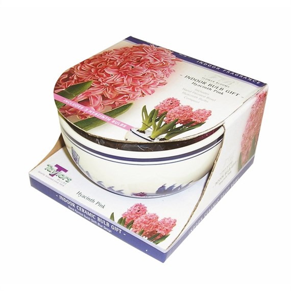 Taylors Bulbs Pink Hyacinths Delft Bowl (DP11)
