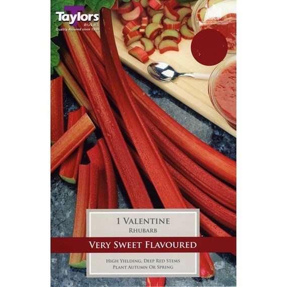 Taylors Bulbs Rhubarb Valentine (Single Pack) (SVEG17D)