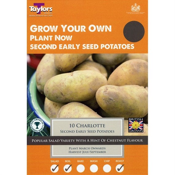 Taylors Bulbs Seed Potatoes Charlotte (10 Pack) (VP440)