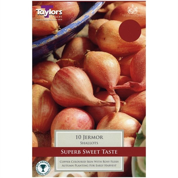 Taylors Bulbs Shallot Jermor - Pack of 8 (VP120)