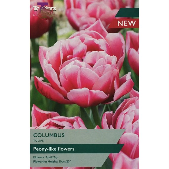 Taylors Bulbs Tulip Columbus - Pack of 5 (TP435)