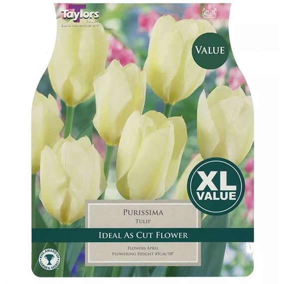 Taylors Bulbs Tulip Purissima - Pack of 15 (XL430)
