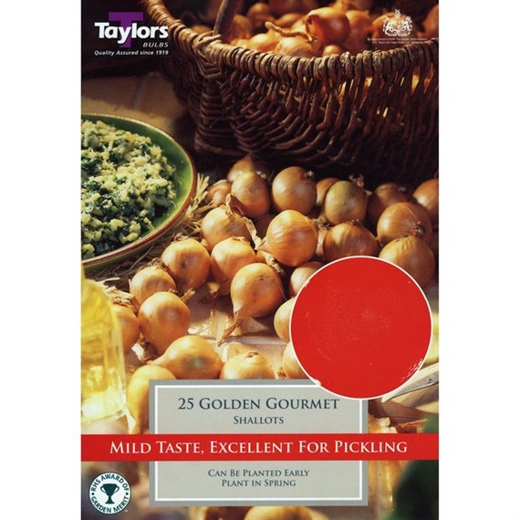 Taylors Bulbs Value Shallot Golden Gourmet (20 Pack) (ESV300)