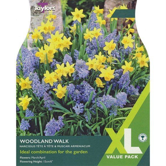 Taylors Bulbs Woodland Walk - Pack of 50 (XL175)