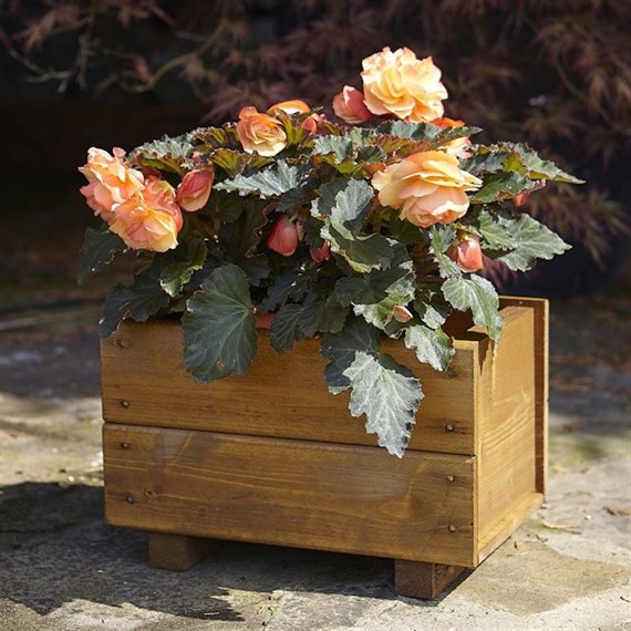 Tom Chambers Hanbury Trough Planter (WP055)