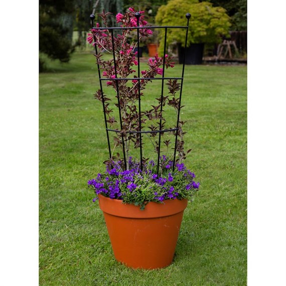 Tom Chambers Pot & Planter Trellis 90cm (PP001)