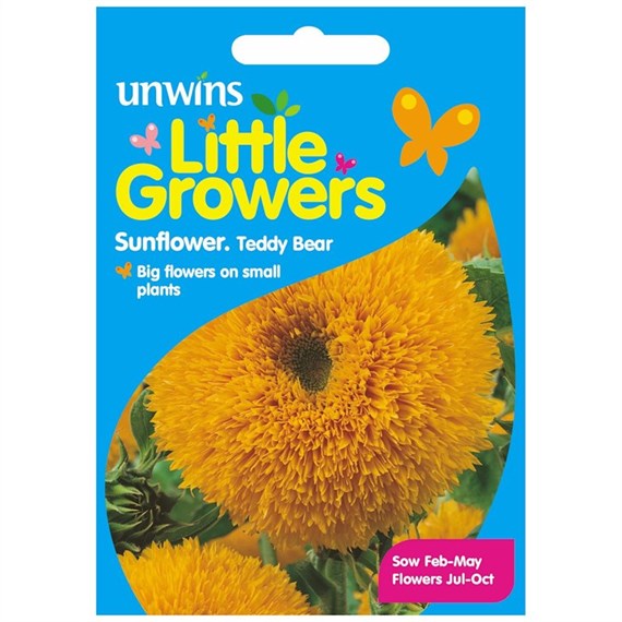 Unwins Seeds Little Growers Sunflower Teddy Bear (30510029) Seeds for Kids