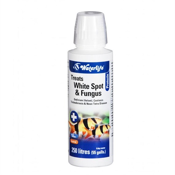 Waterlife Protozin 100ml Fish White Spot & Fungus Treatment Aquatic