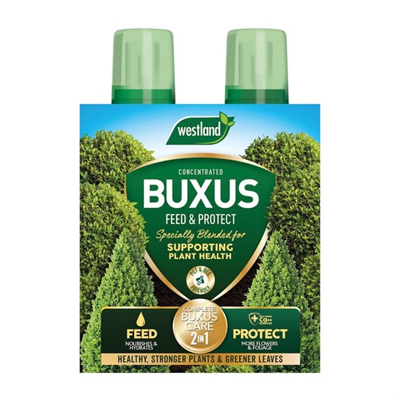 Westland 2 In1 Feed And Protect Buxus 2 X 500ml (20100418)