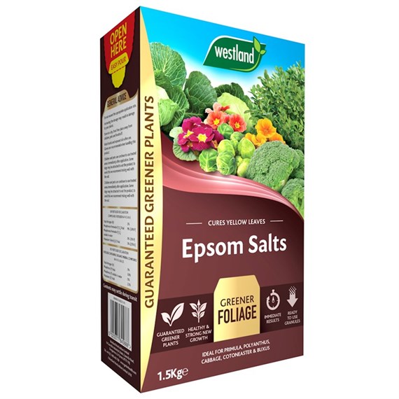Westland Epsom Salts Foliage Greener - 1.5kg (20600007)