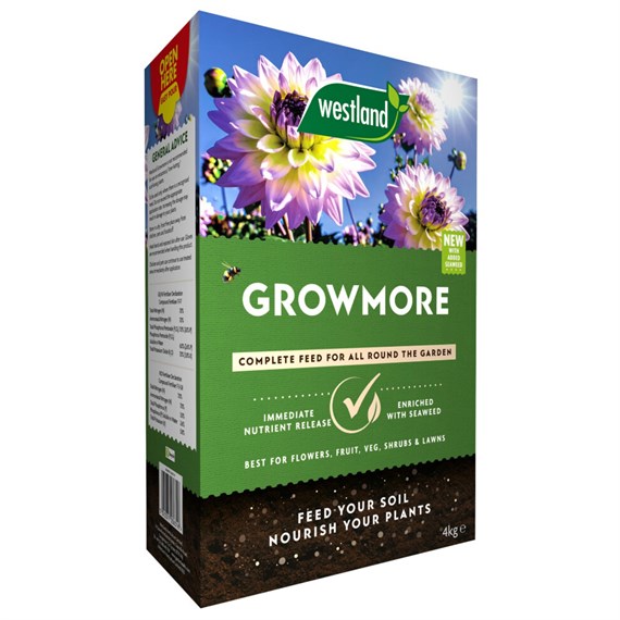 Westland Growmore Plant Feed 4kg (20600157)
