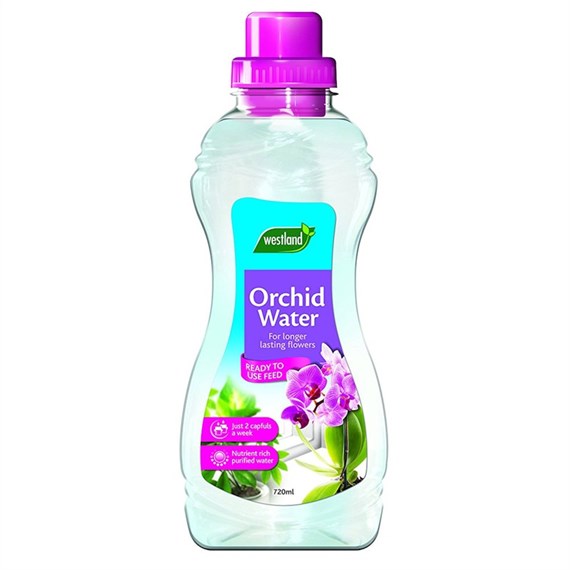 Westland Orchid Water Ready To Use Orchid Plant Feed - 720ml (20100345)