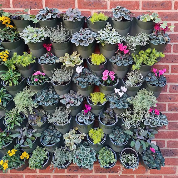 Wonderwall Vertical Garden Plant Pots 