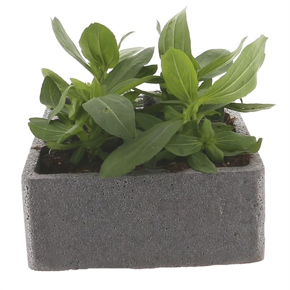 Zinnia Zaharan Double Jumbo 6 Pack Boxed Bedding