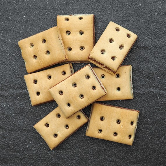 Zoon Biscuit Bakes Salmon Slices 400g Dog Treats (8006058)