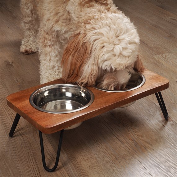 Zoon Double Diner Raised Dog Bowl (8005065)