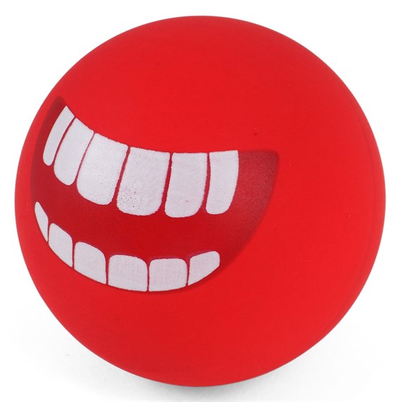 Zoon Gnash! UltraBounce ZoonBall Dog Toy (8052009)