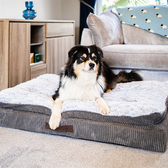 Zoon Komfort Kord Memory Foam Mattress Dog Bed