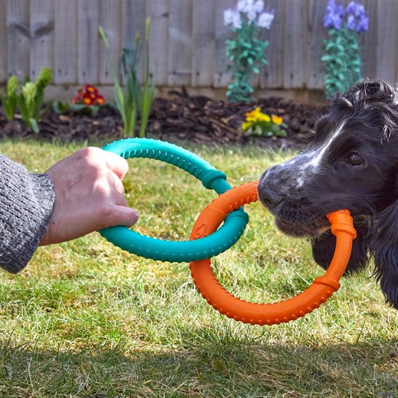 Zoon Rubber Dog Links Dog Toy (8004106)