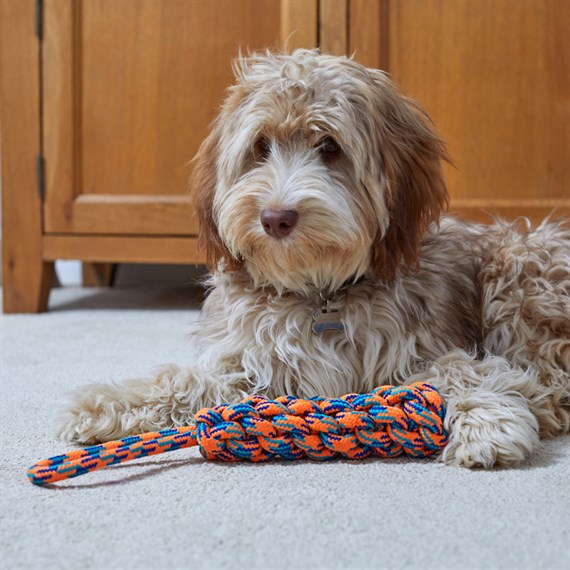 Zoon Uber-Activ Log Lobber Dog Toy (8004125)