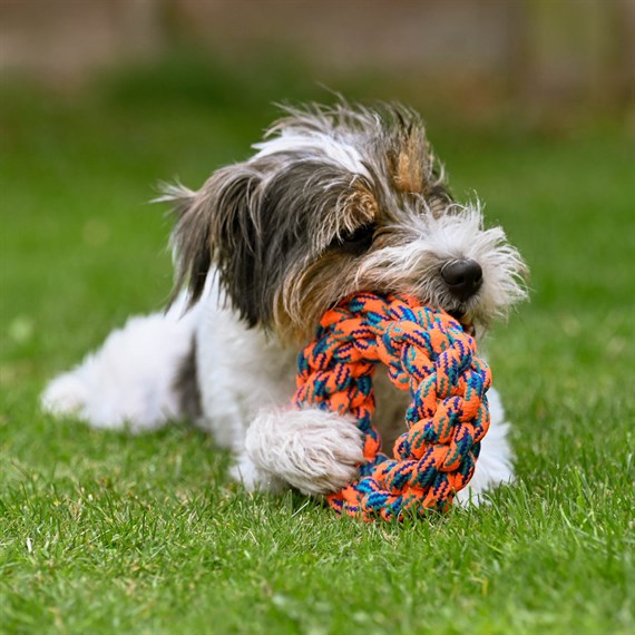 Zoon Uber-Activ Rope Donut 18cm Dog Toy (8004126)
