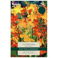 Taylors Bulbs Montbretia (15 Pack) (TS761)