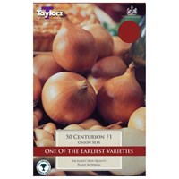 Taylors Bulbs Onion Centurion F1 (50 Pack) (VP200)