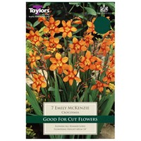 Taylors Bulbs Crocosmia Emily Mckenzie (6 Pack) (TS665)