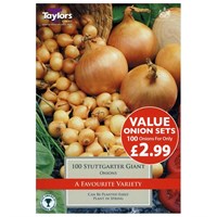 Taylors Bulbs Value Onion Stuttgarter Giant (100 Pack) (ESV260)