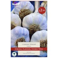 Taylors Bulbs Garlic Solent Wight (Single Pack) (SVEG5)