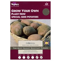 Taylors Bulbs Seed Potatoes Sarpo Mira (8 Pack) (VP585)