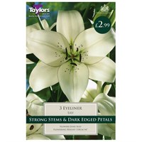 Taylors Bulbs Lily Eyeliner (3 Pack) (TS518)