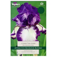 Taylors Bulbs Iris Loop The Loop (Single Pack) (TS870)