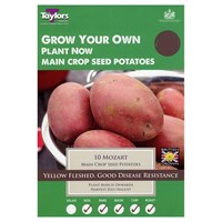 Taylors Bulbs Seed Potatoes Mozart (8 Pack) (VP453)