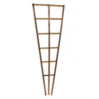 Tom Chambers Prestige Wooden Fan Trellis 180cm X 60cm (WO034)