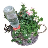 Creative Products Aqua Save Watering Cones (C7093)