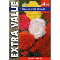 Taylors Bulbs Begonia Mixed Doubles (5 Pack) (ESV501)
