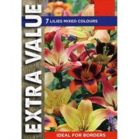 Taylors Bulbs Lilies Mixed Colours (7 Pack) (ESV505)