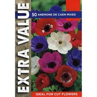 Taylors Bulbs Anemone De Caen Mixed (30 Pack) (ESV508)